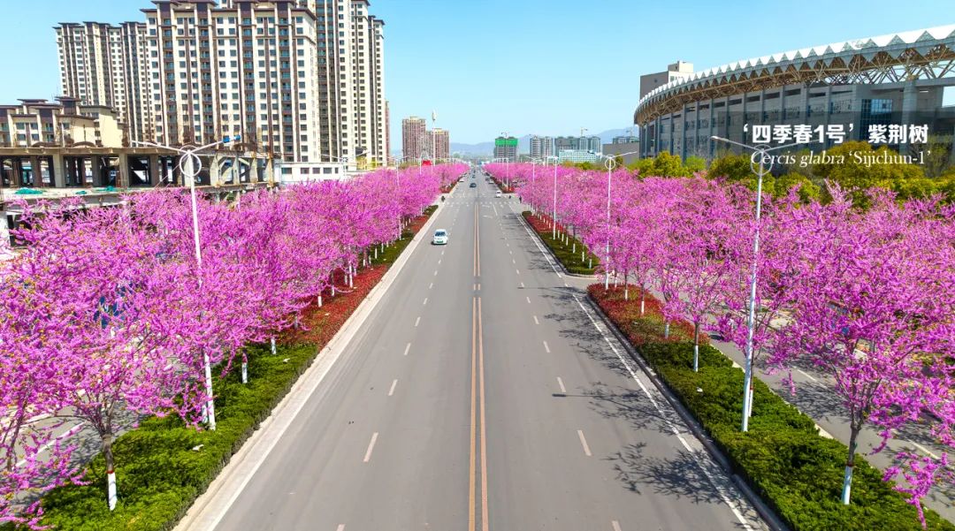微信图片_20230315165355.jpg