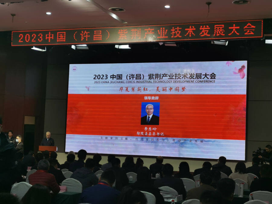 鄢陵县委书记李东岭致辞（李向东 摄）