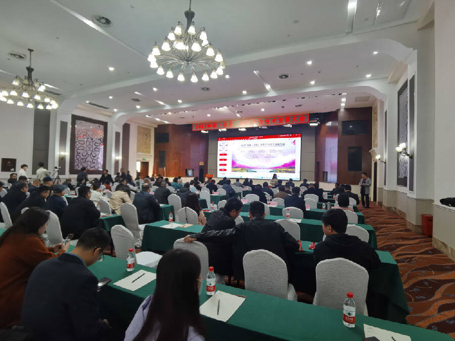 会议现场（李向东 摄）