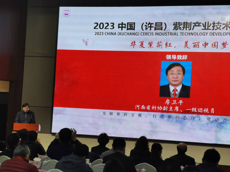河南省科协副主席房卫平致辞（李向东 摄）