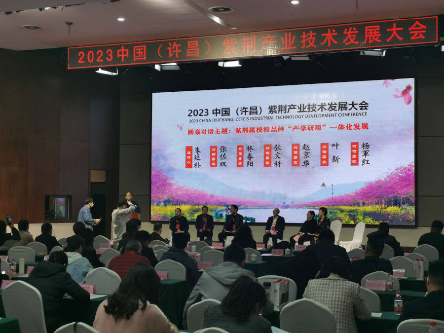 会议特邀嘉宾进行圆桌对话（李向东 摄）