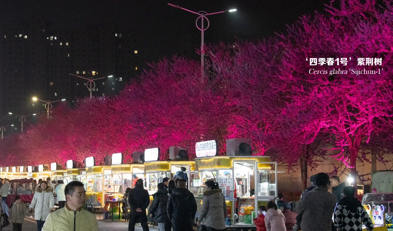 1681113420118109.jpg 微信图片_20230410153447.jpg