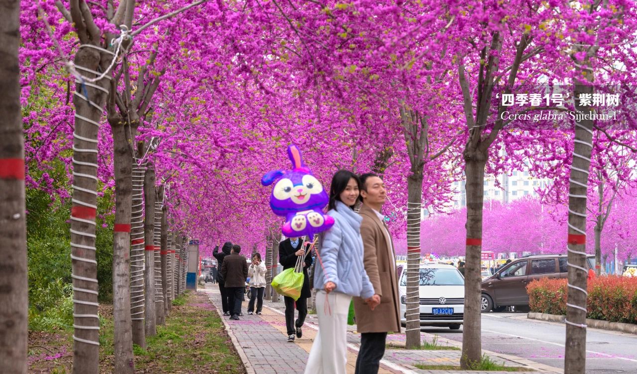 1681113464432158.jpg 微信图片_20230410153504.jpg