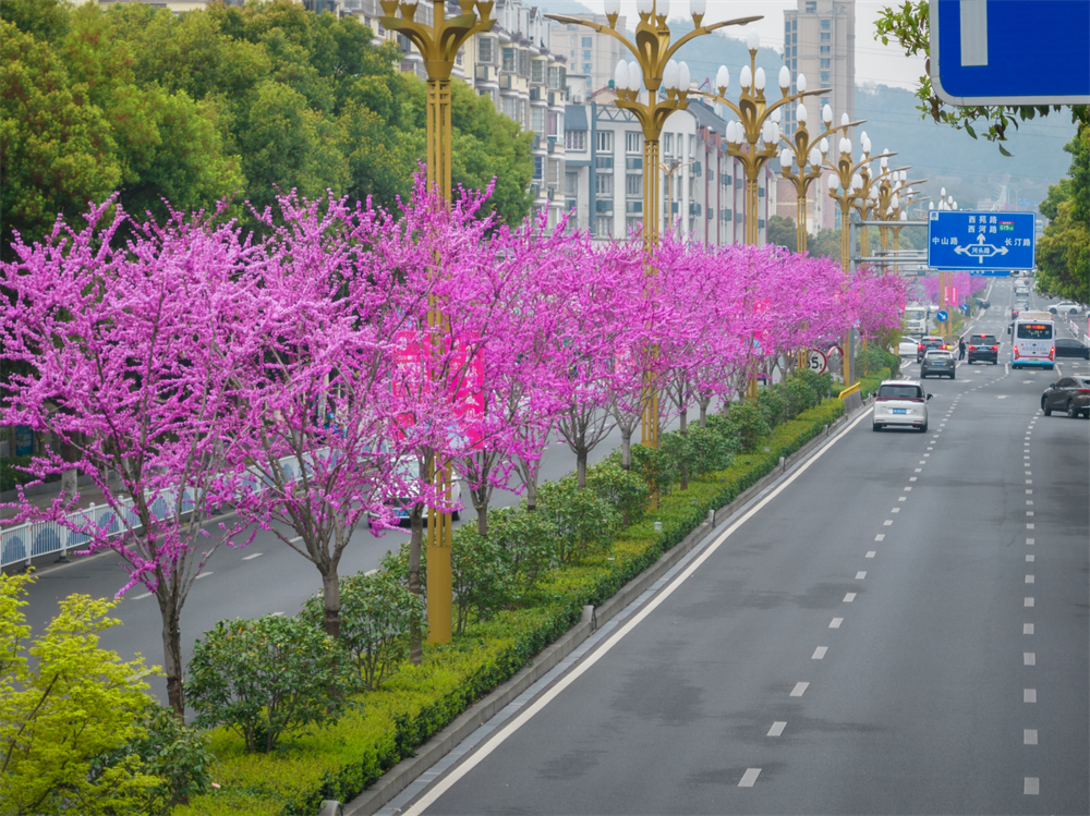 1682041804442490.png 微信圖片_20230421094155.png